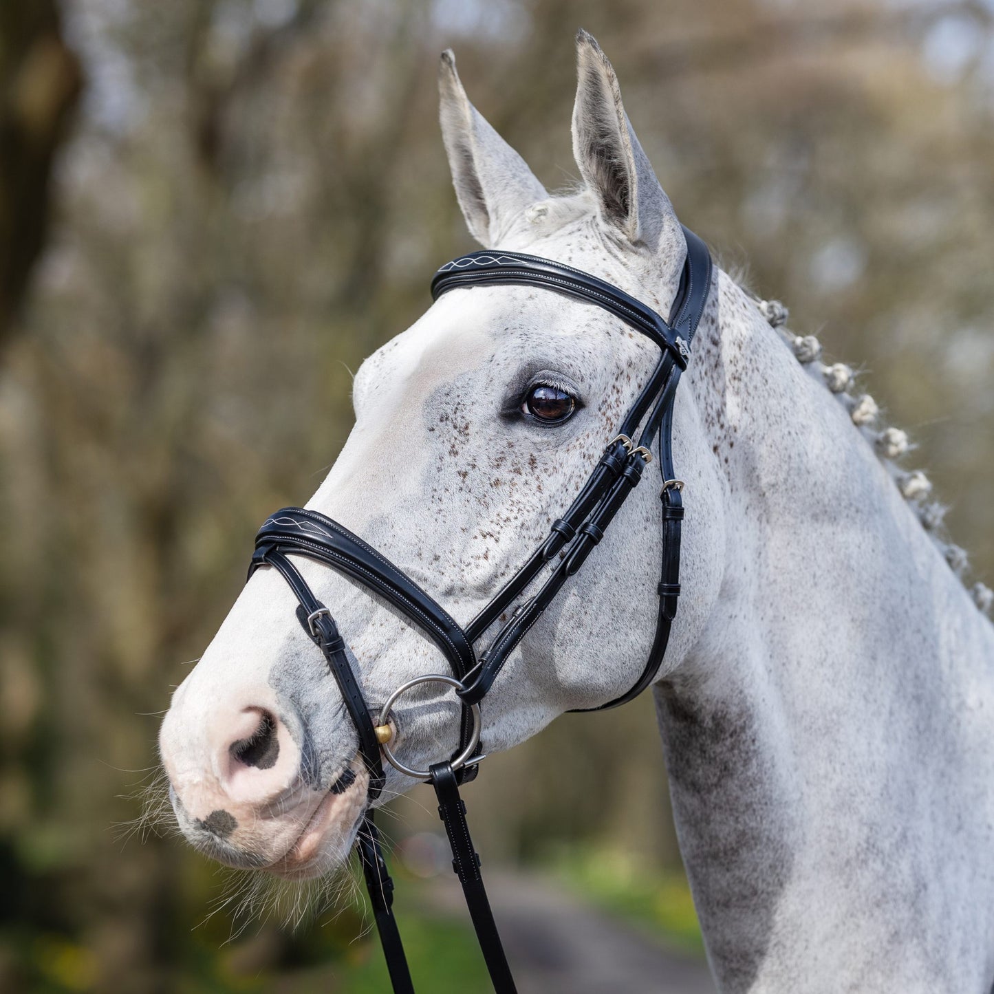 LeMieux Kudos Competition Flash Bridle