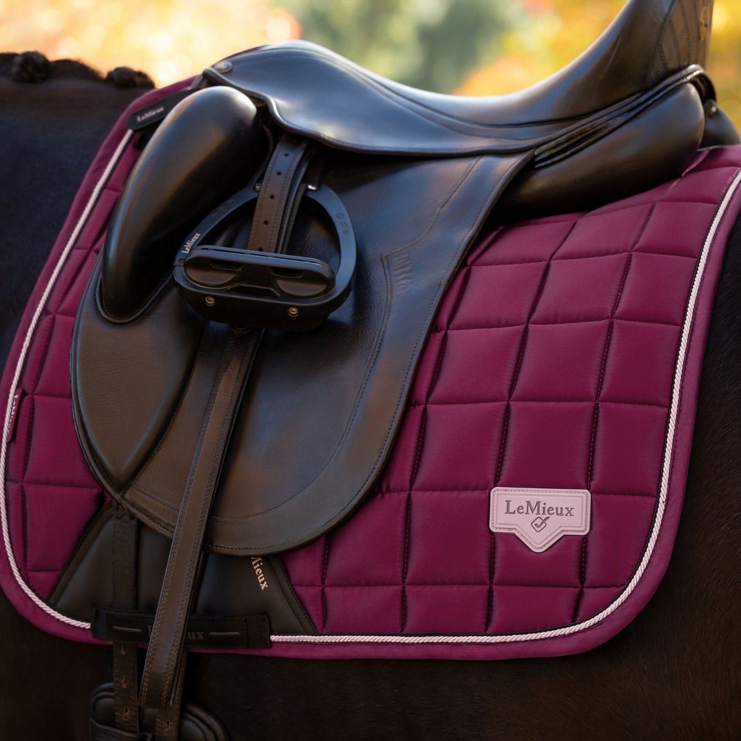 LeMieux Loire Classic Dressage Square Saddle Pad