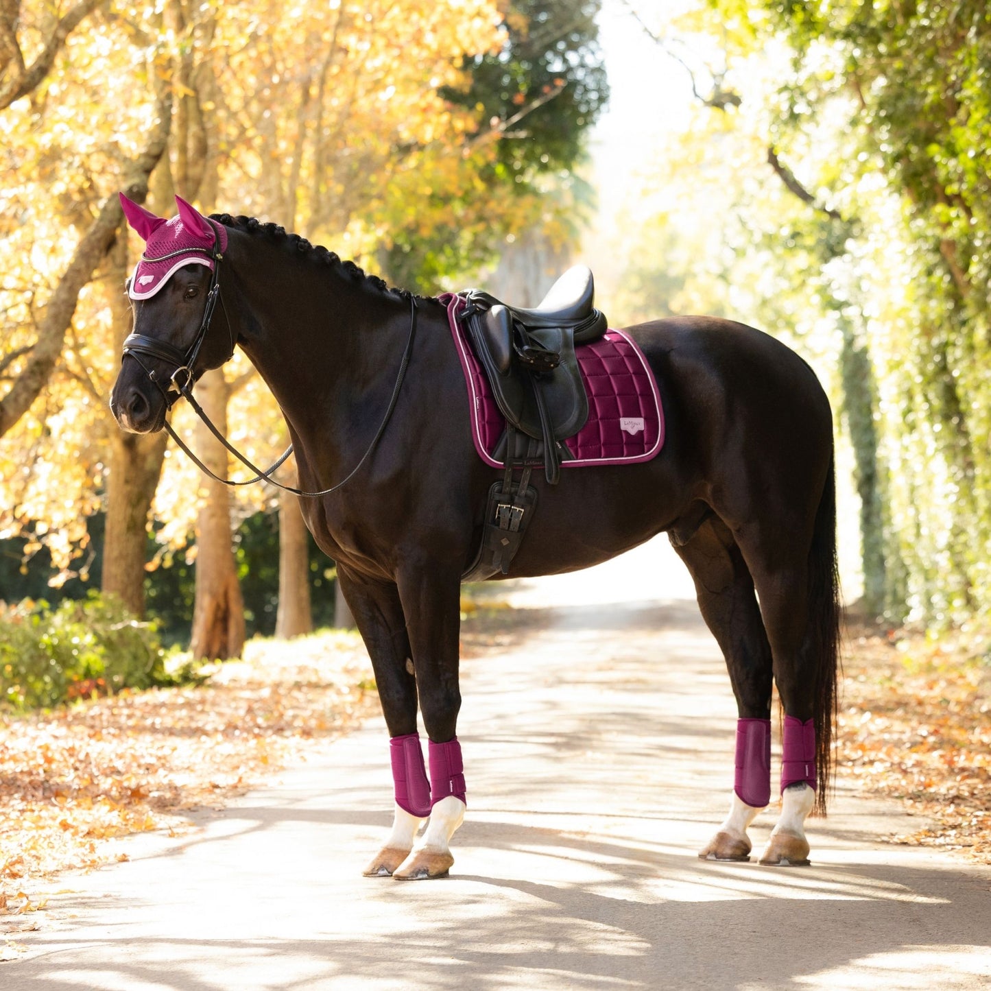 LeMieux Loire Classic Dressage Square Saddle Pad