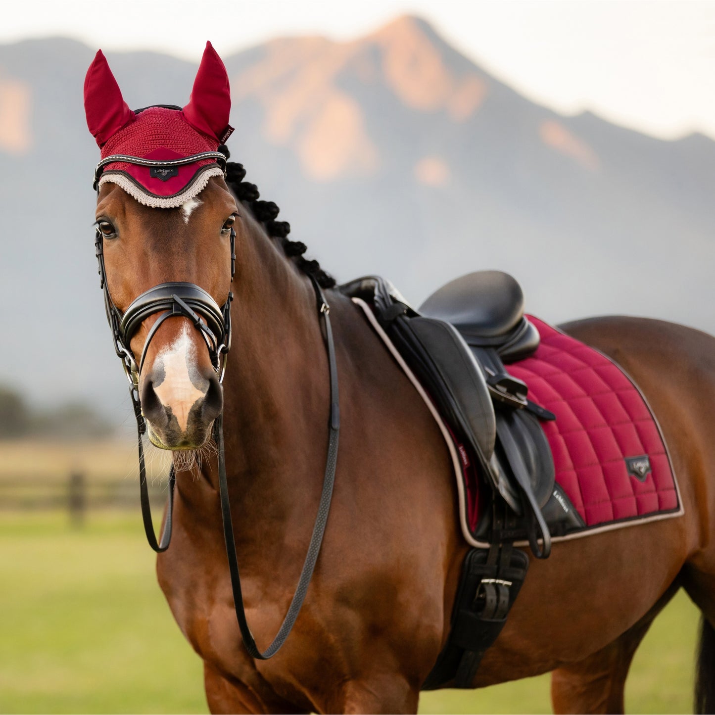 LeMieux Loire Fly Hood