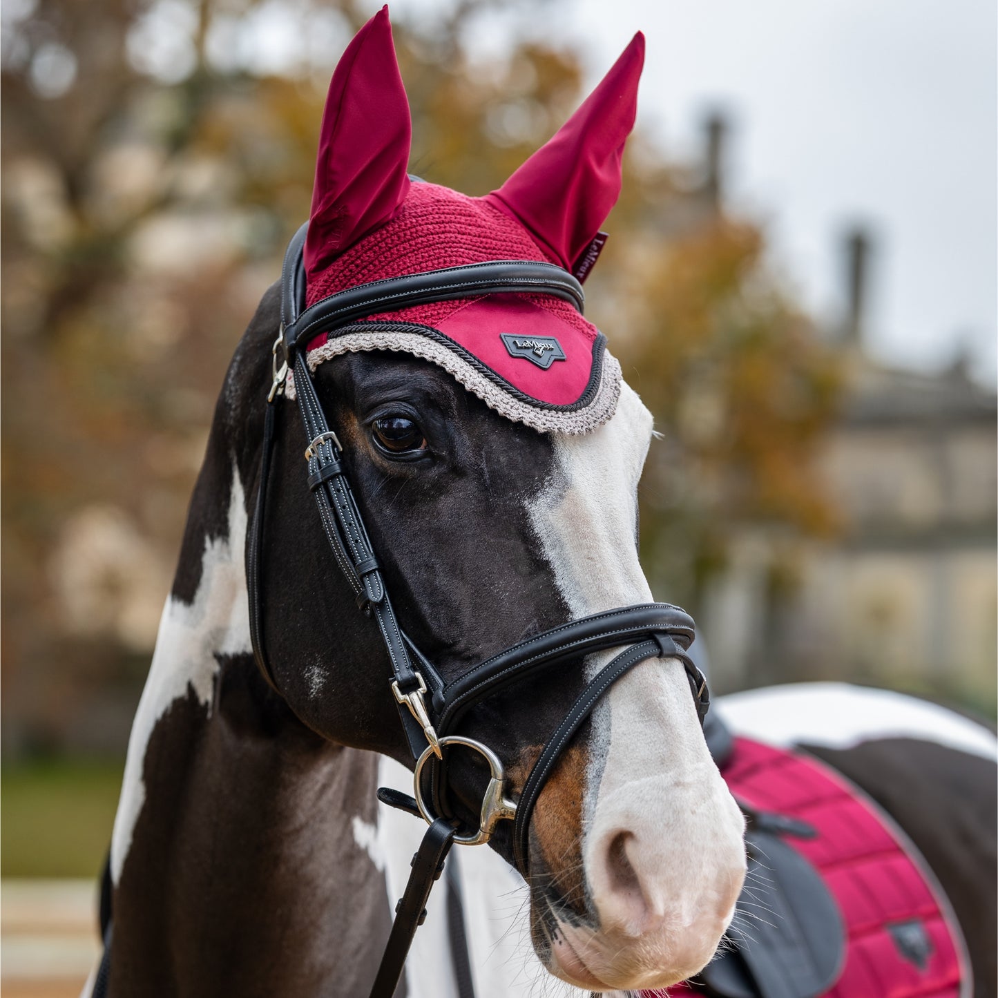 LeMieux Loire Fly Hood