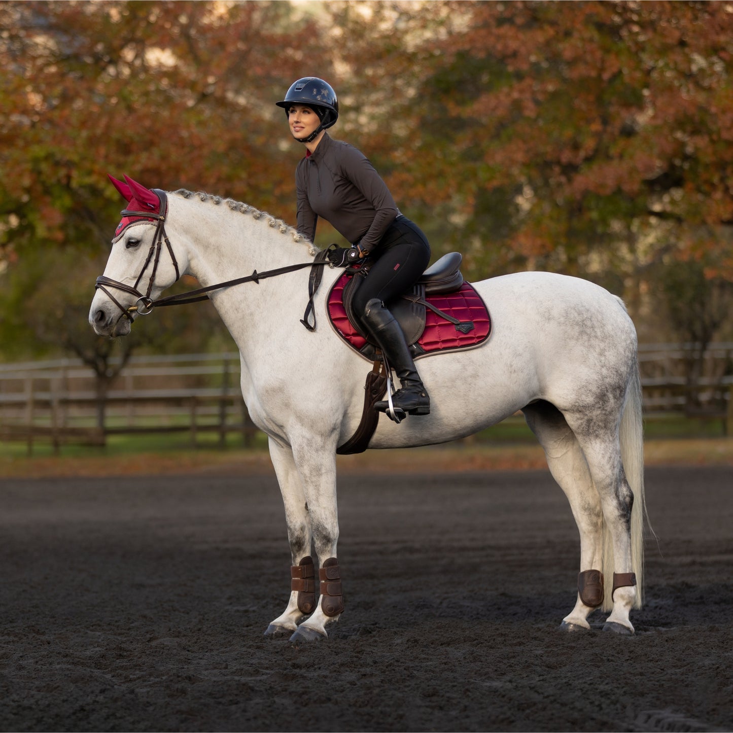 LeMieux Loire Classic Close Contact Square