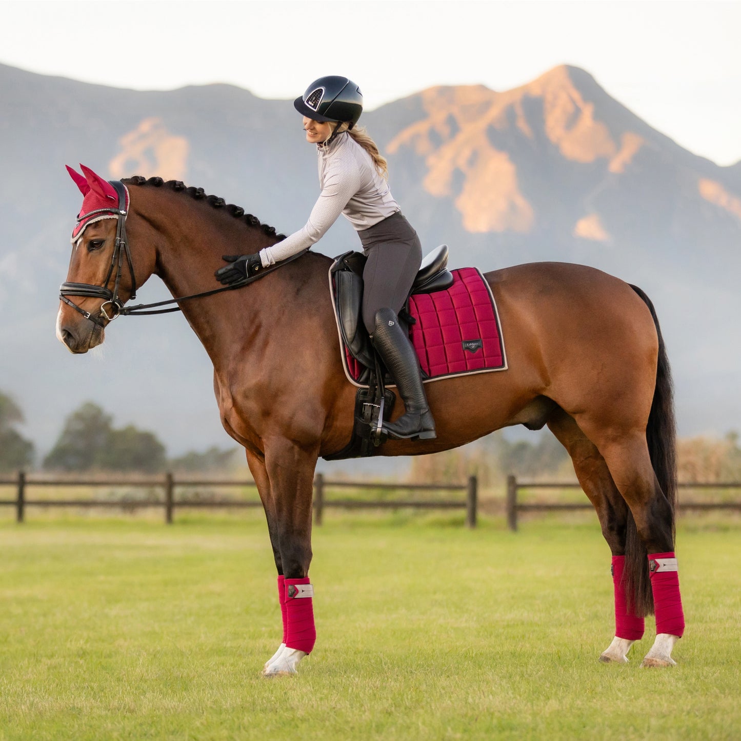 LeMieux Loire Fly Hood