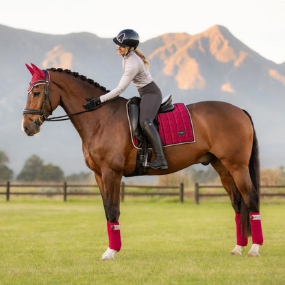 LeMieux Loire Fly Hood
