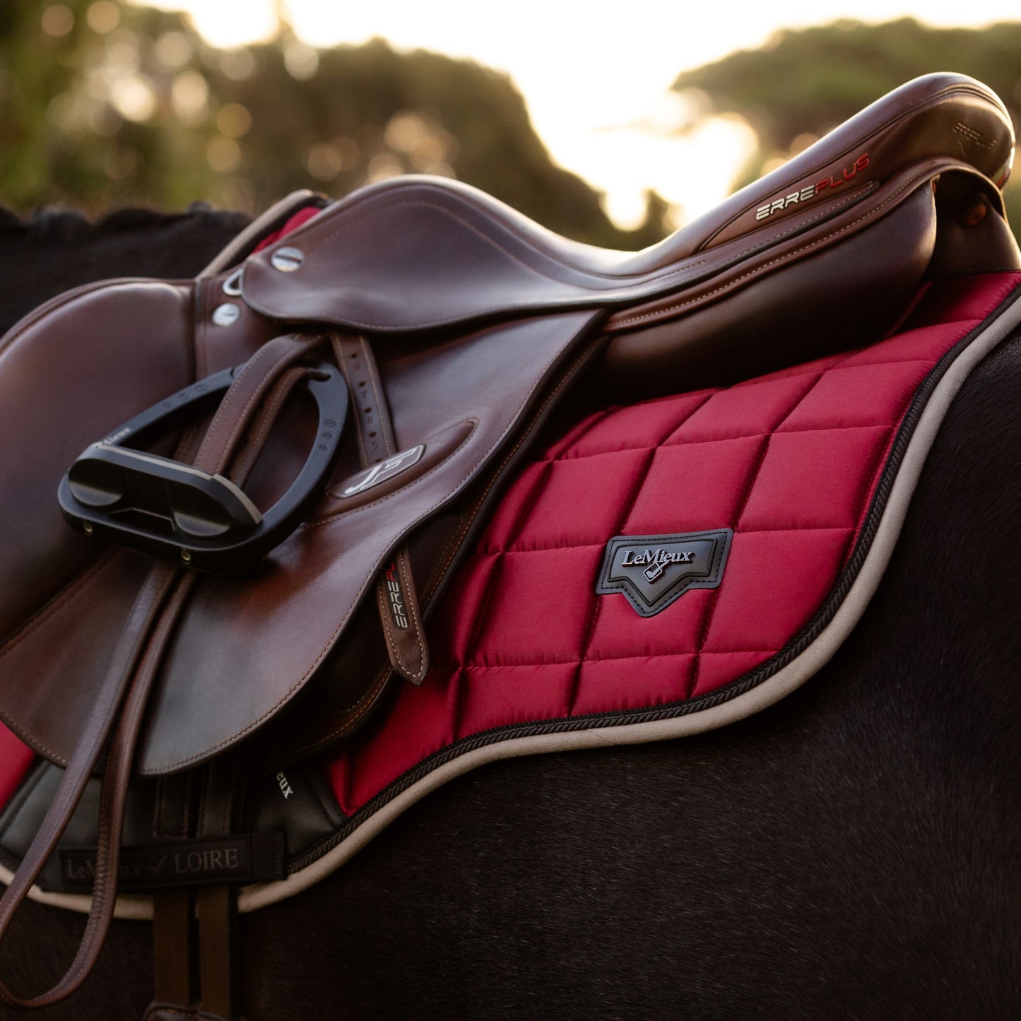 LeMieux Loire Classic Close Contact Square