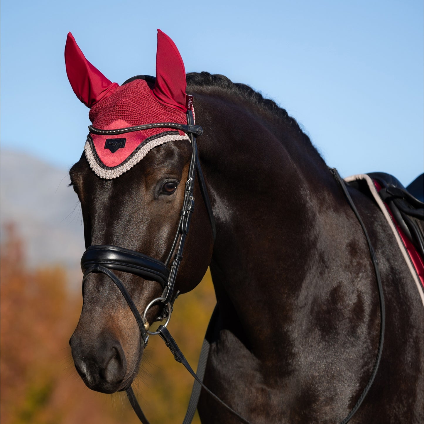 LeMieux Loire Fly Hood