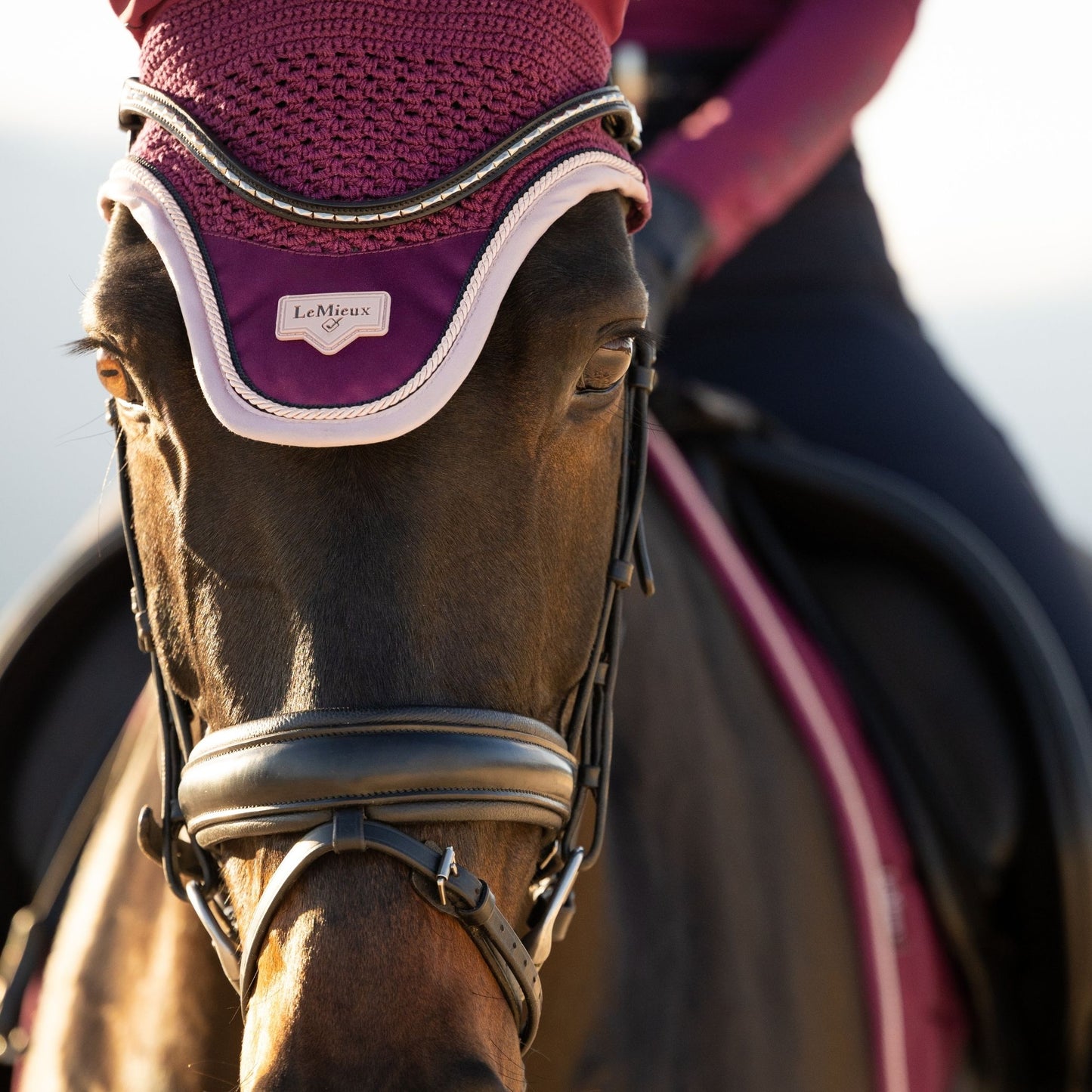 LeMieux Loire Fly Hood