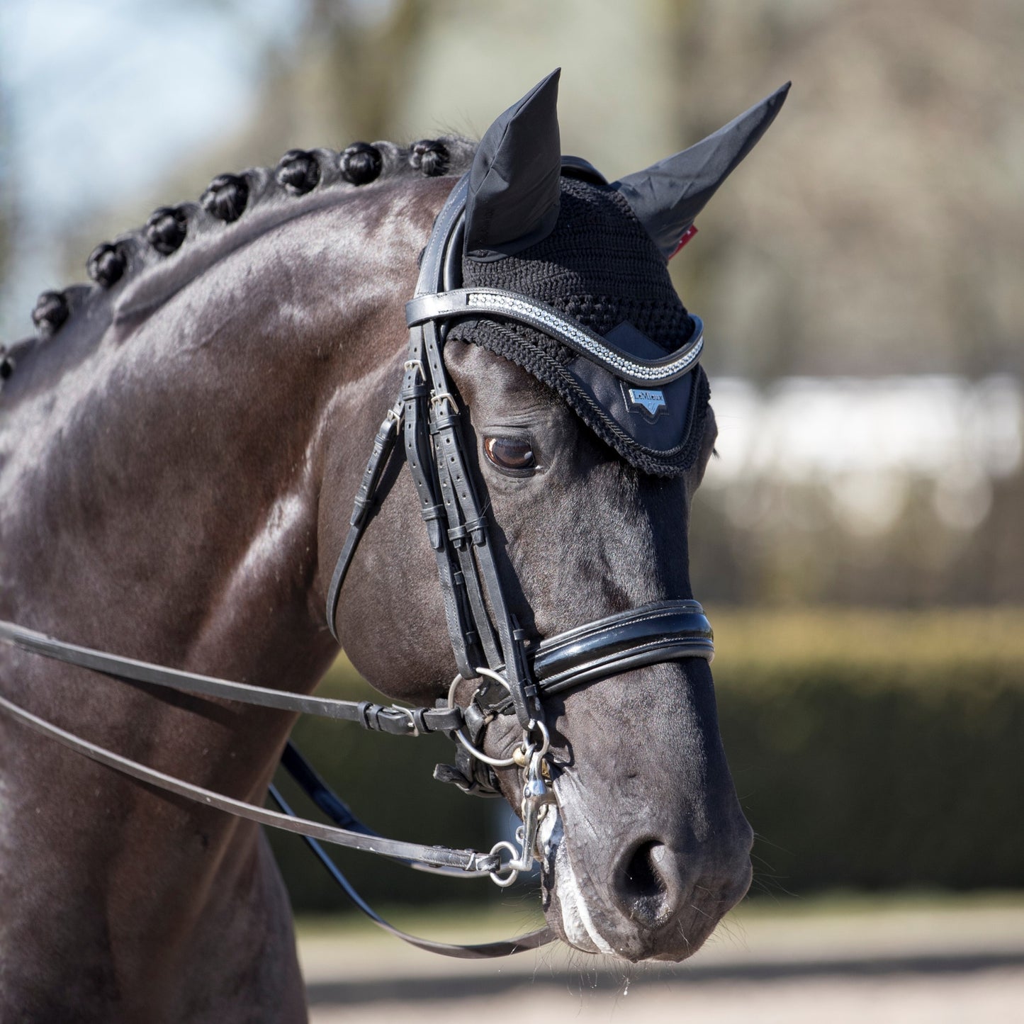 LeMieux Loire Fly Hood