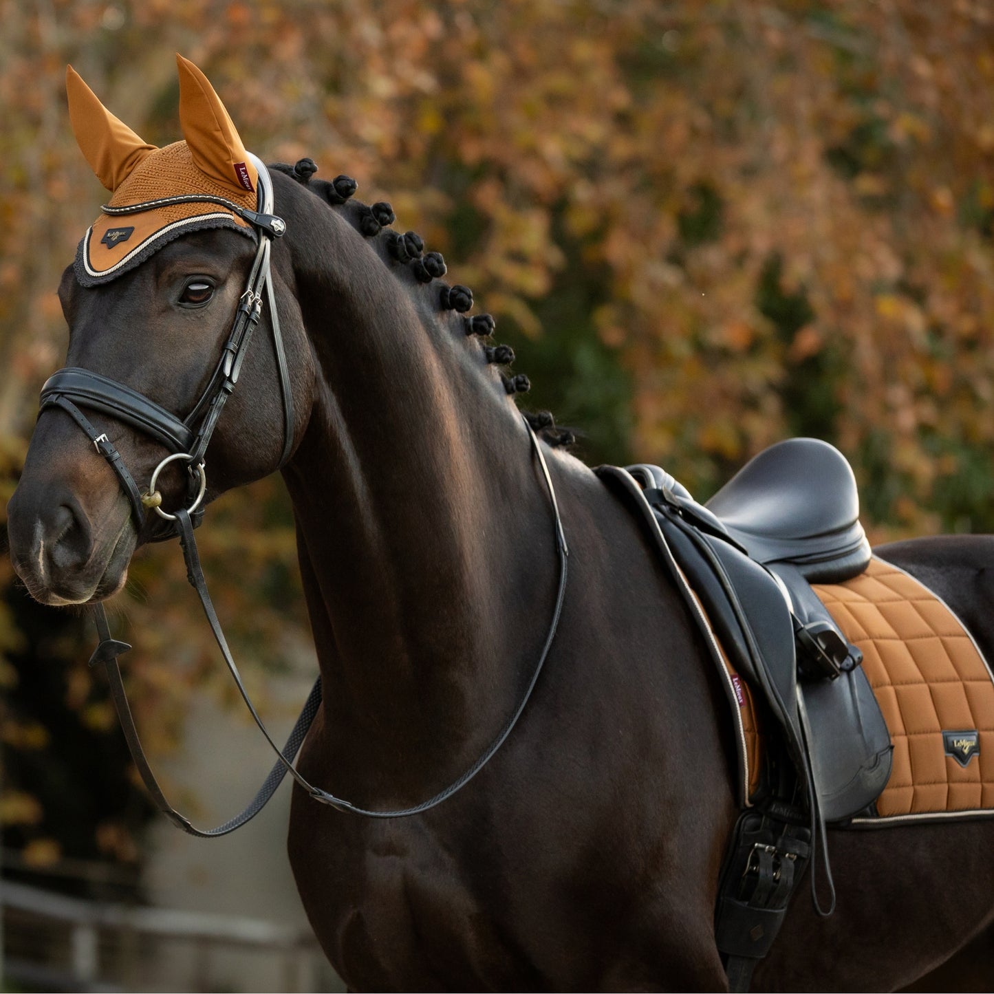 LeMieux Loire Fly Hood
