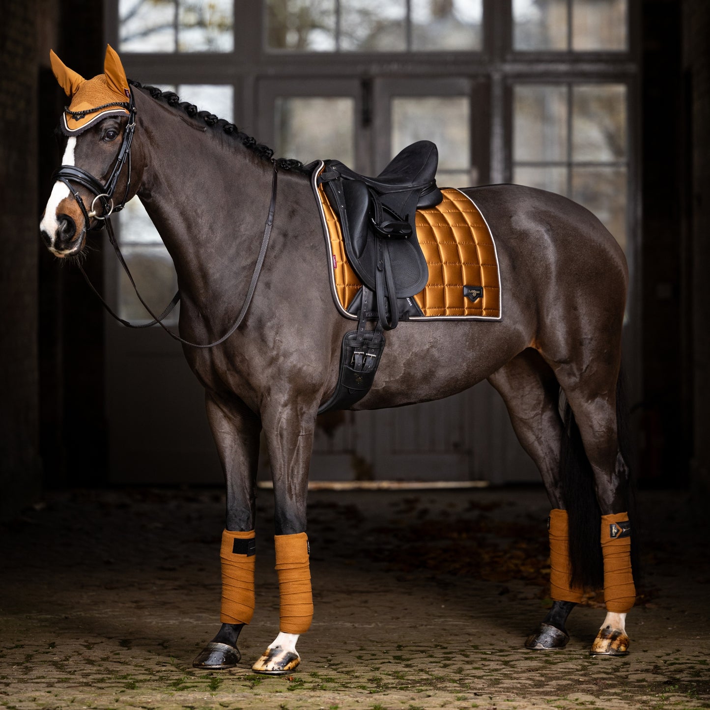 LeMieux Loire Fly Hood