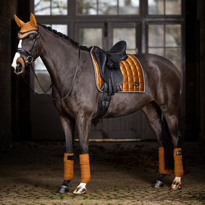 LeMieux Loire Fly Hood