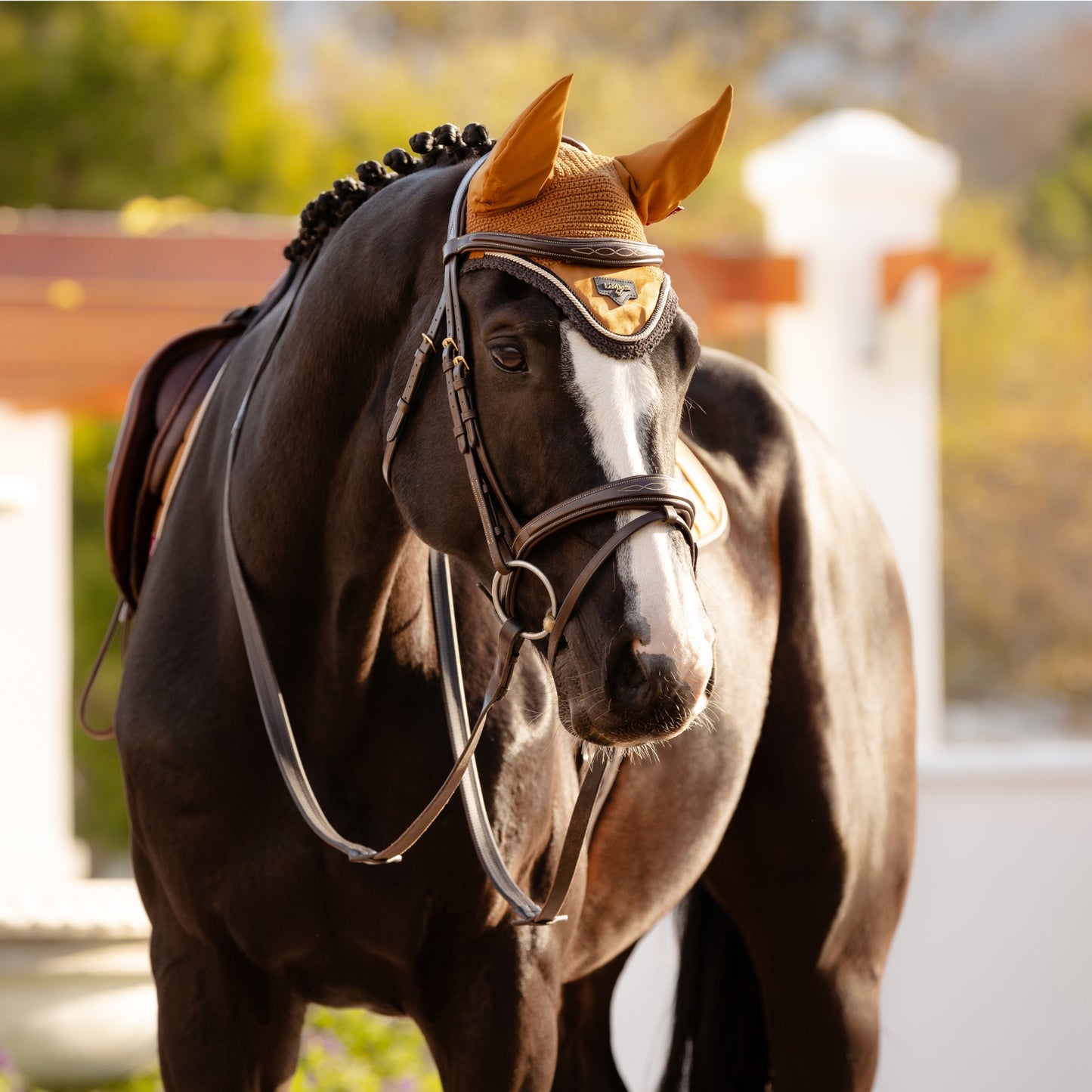 LeMieux Loire Fly Hood
