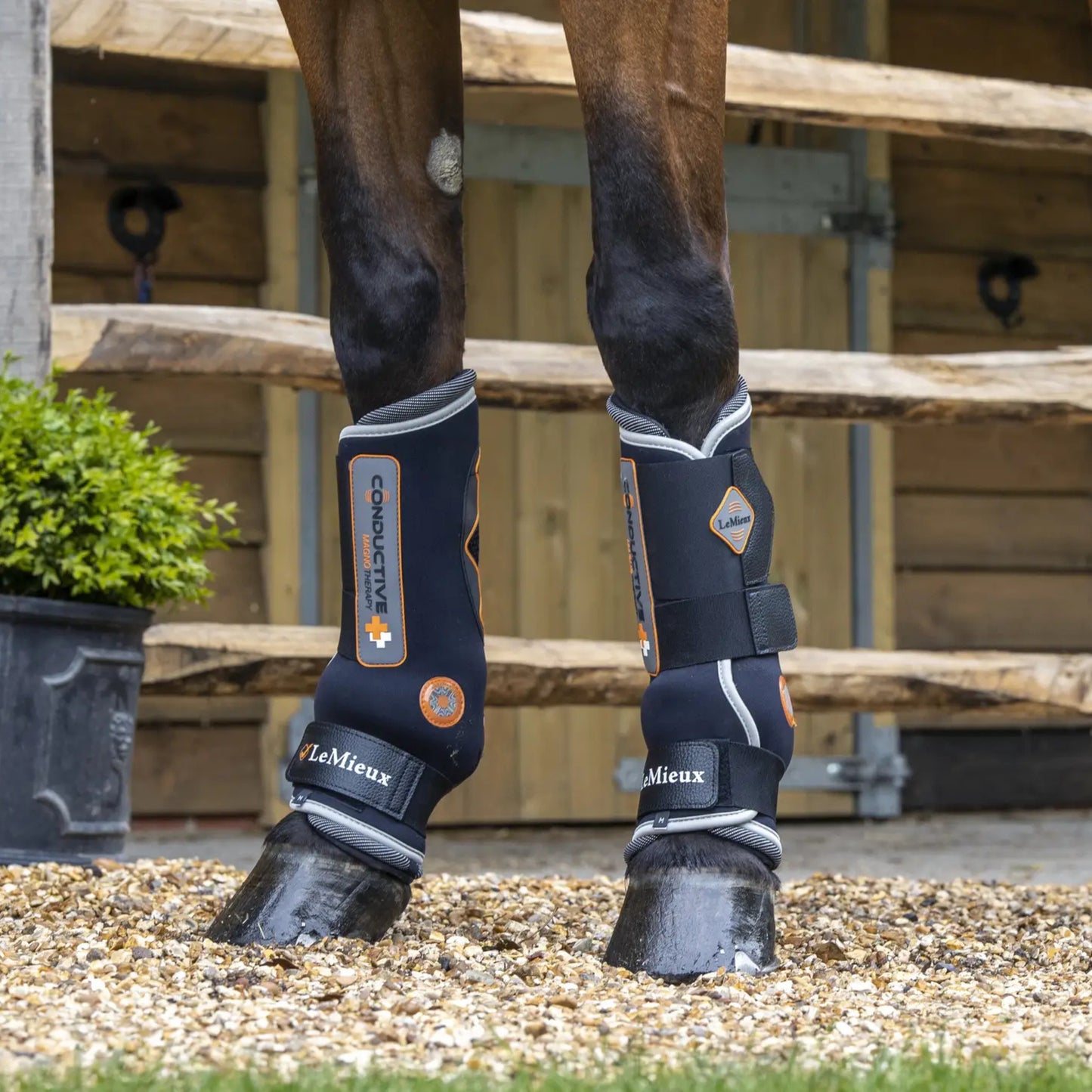 LeMieux Magno Tendon Boots