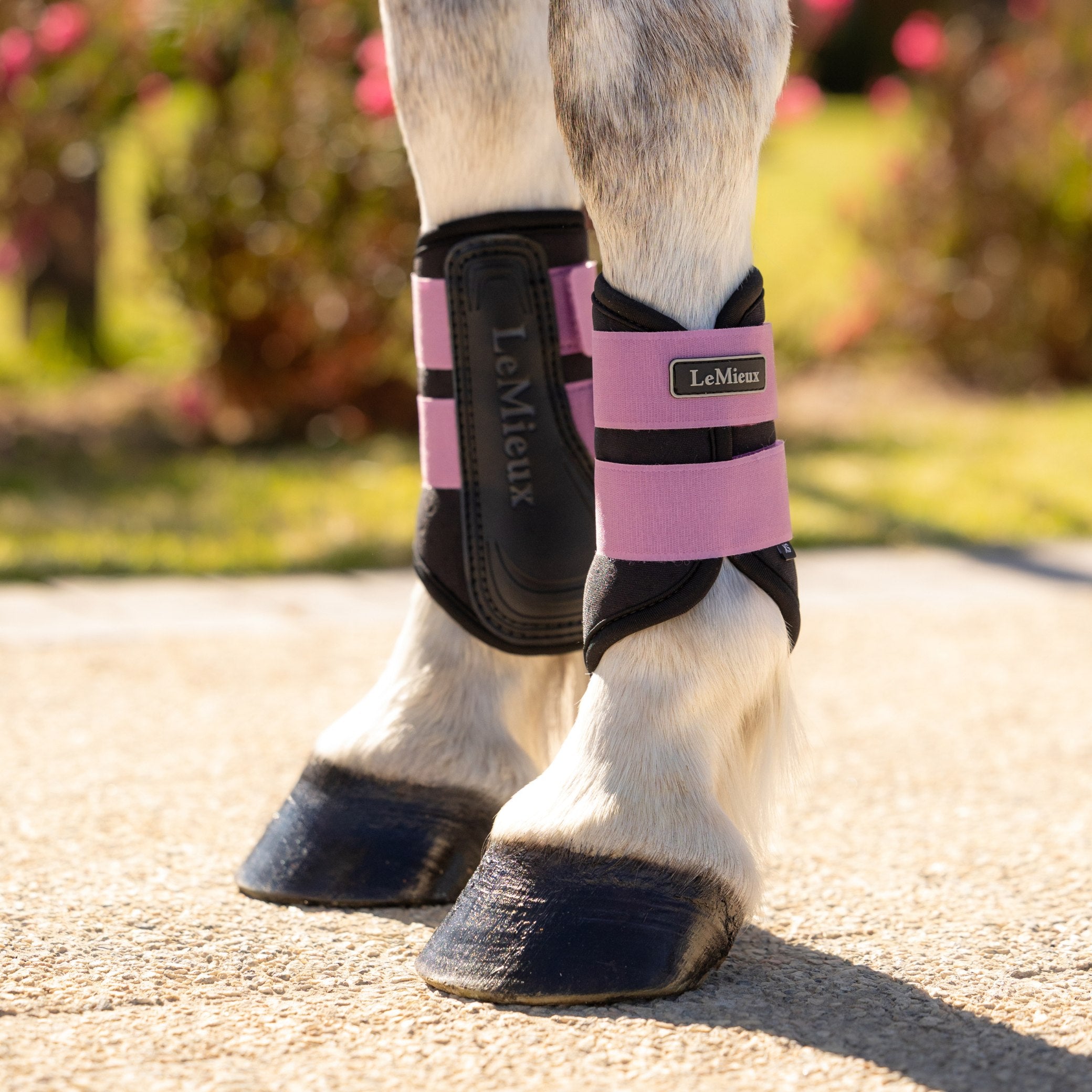 LeMieux Mini Air-Tek Grafter Brushing Boots – EQ Saddlery