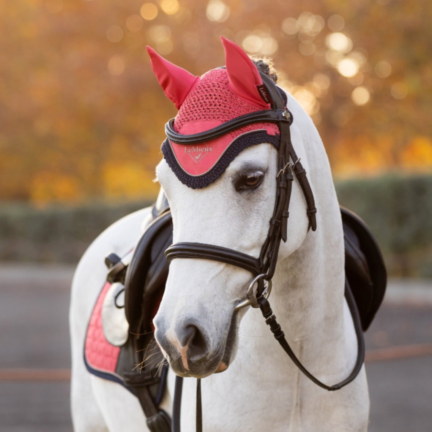 LeMieux Mini Classic Fly Hood