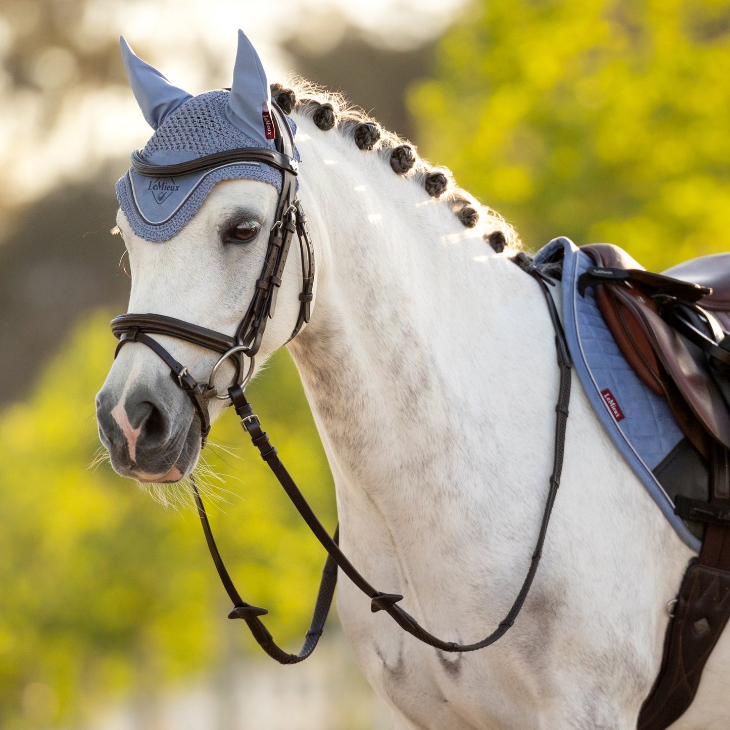 LeMieux Mini Classic Fly Hood
