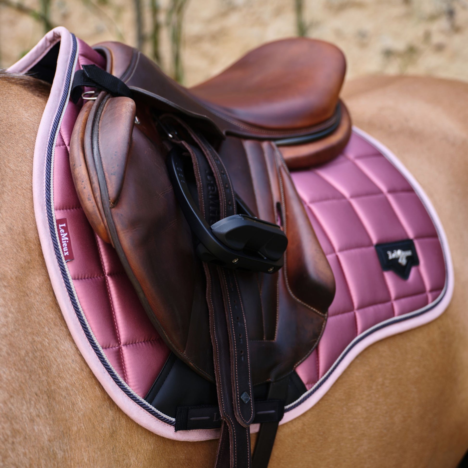 LeMieux Loire Classic Square Close Contact Saddle Pad - EQ Saddlery