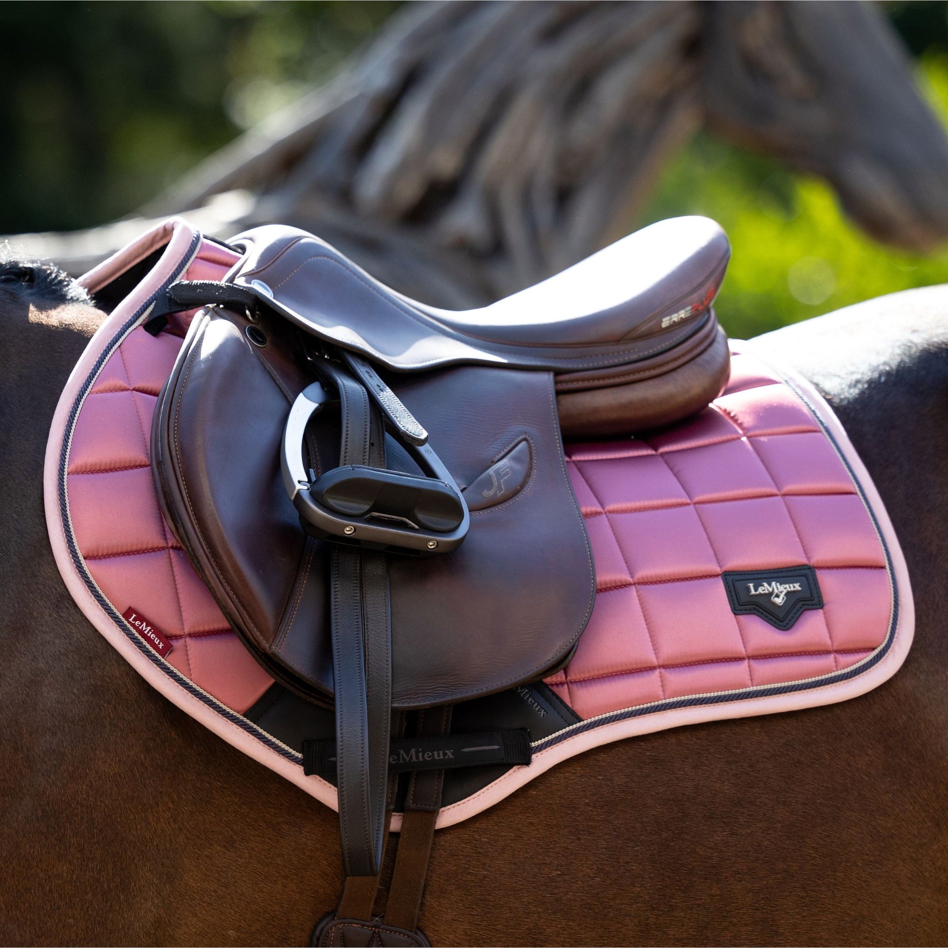 LeMieux Loire Classic Square Close Contact Saddle Pad - EQ Saddlery