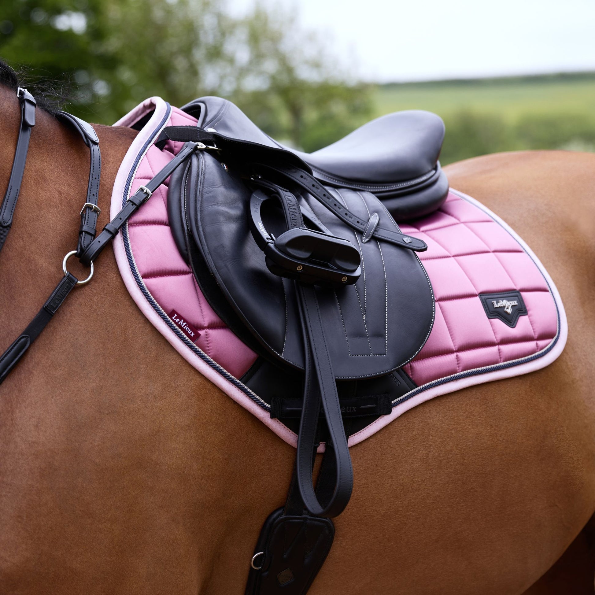 LeMieux Loire Classic Square Close Contact Saddle Pad - EQ Saddlery