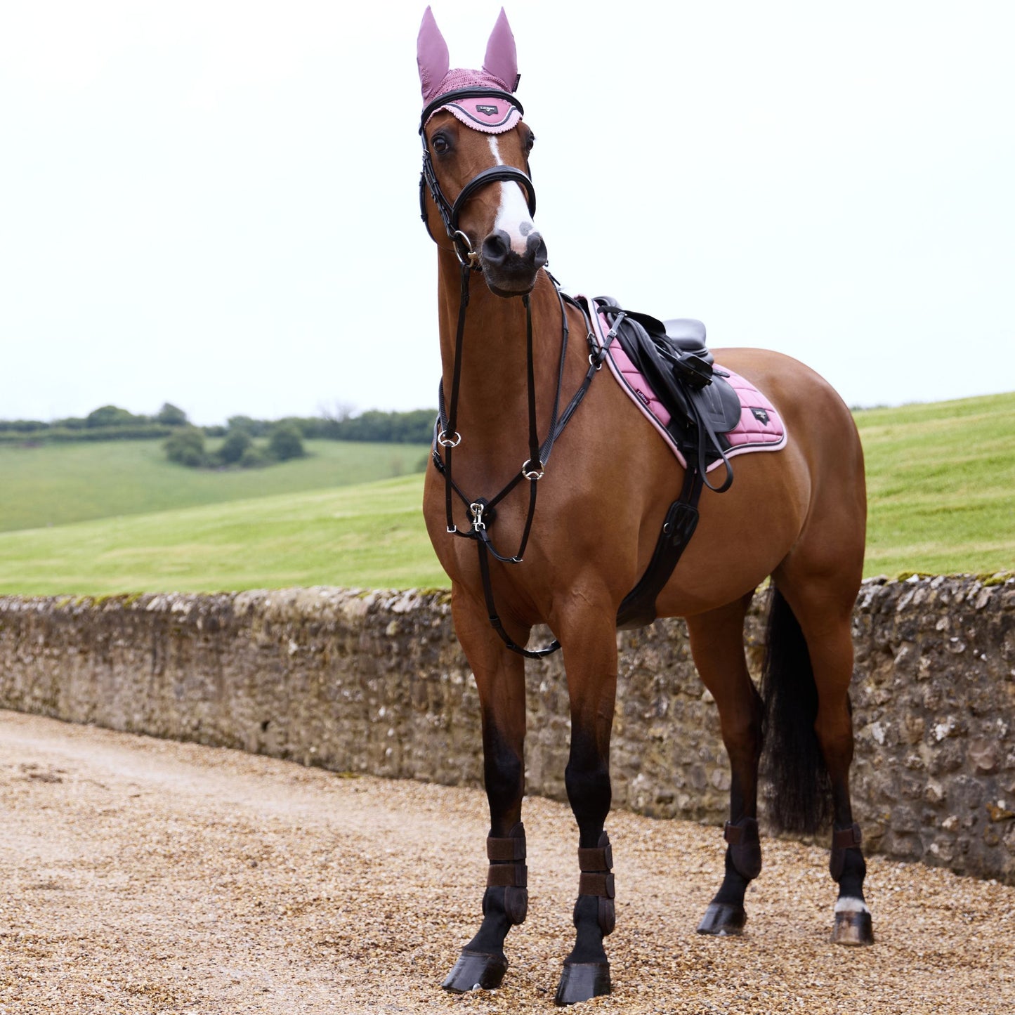 LeMieux Loire Classic Square Close Contact Saddle Pad - EQ Saddlery
