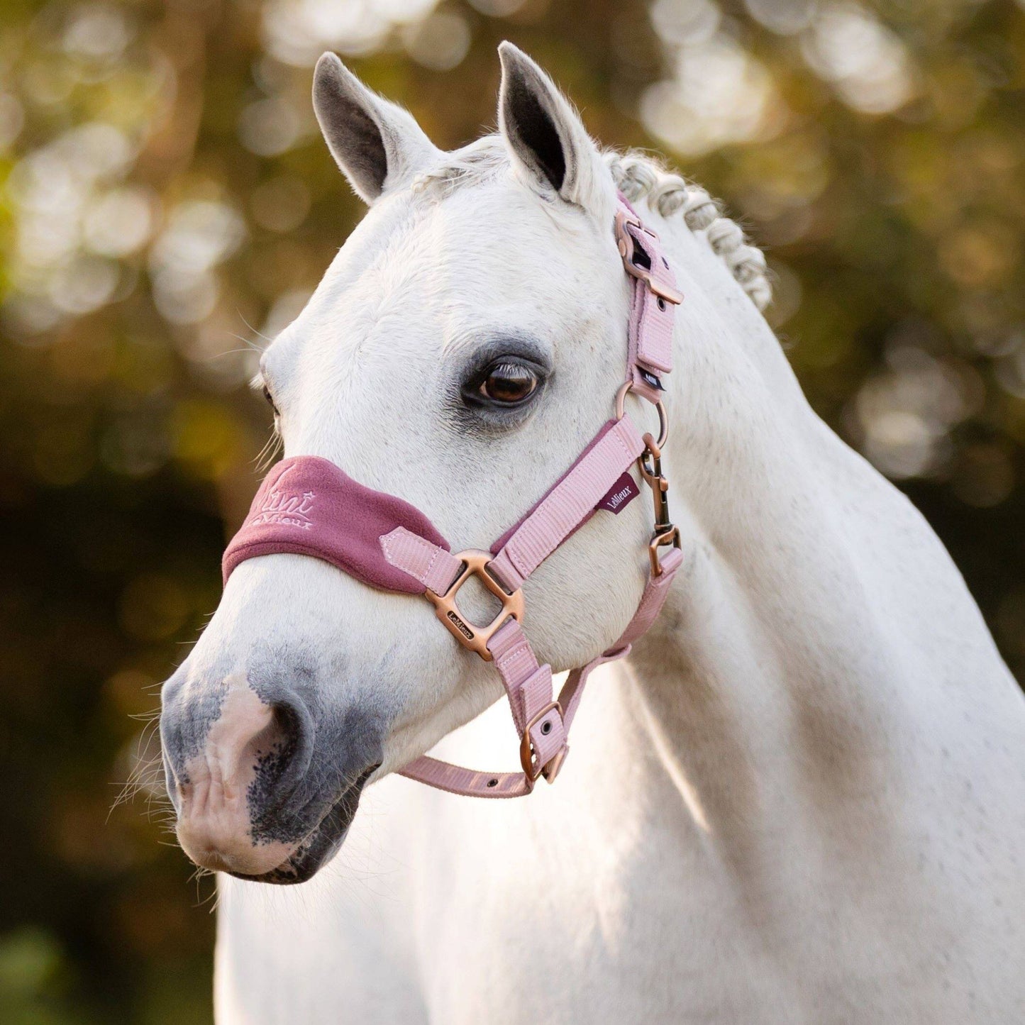 LeMieux Mini Vogue Headcollar and Lead Rope