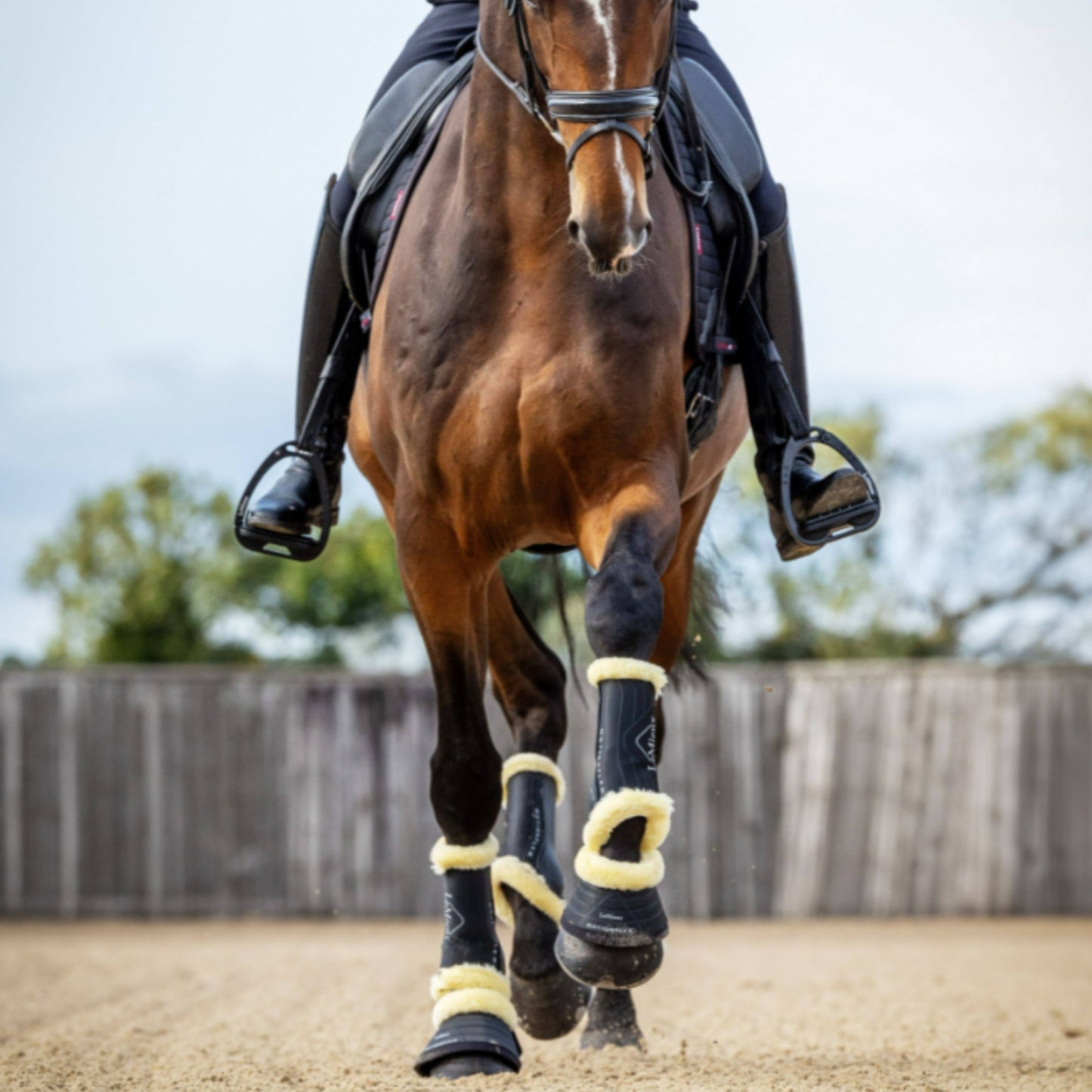 LeMieux Motionflex Dressage Boot with Fur Edge - EQ Saddlery