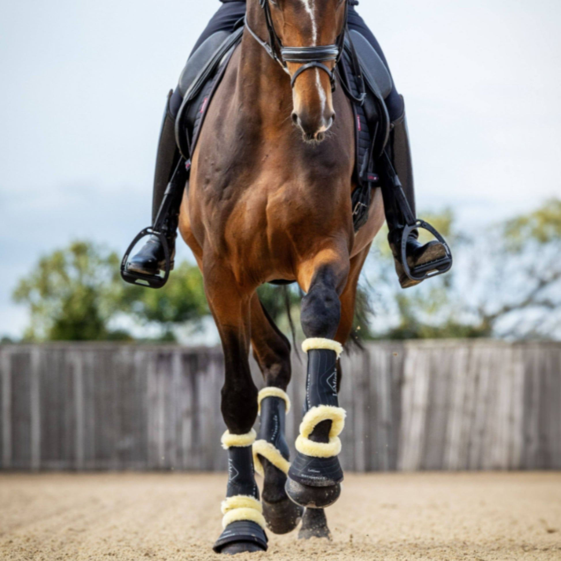 LeMieux Motionflex Dressage Boot with Fur Edge - EQ Saddlery