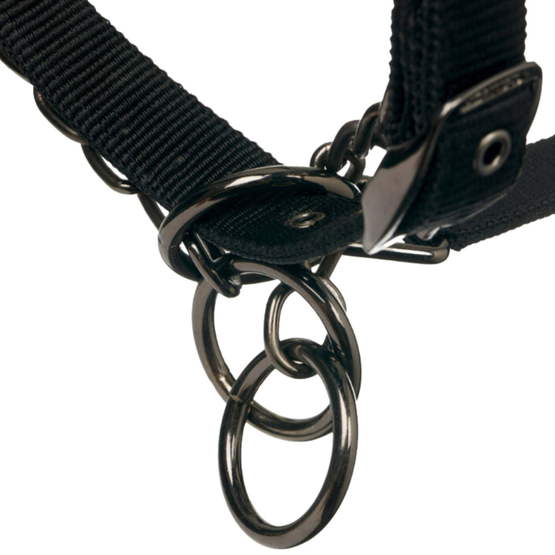 LeMieux Prosafe Headcollar - EQ Saddlery