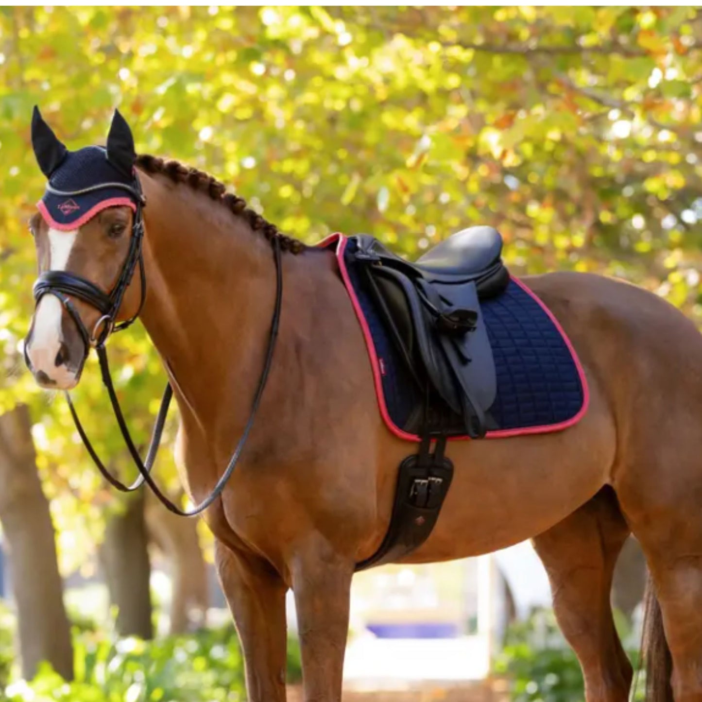 LeMieux Suede Square Dressage Saddle Pad