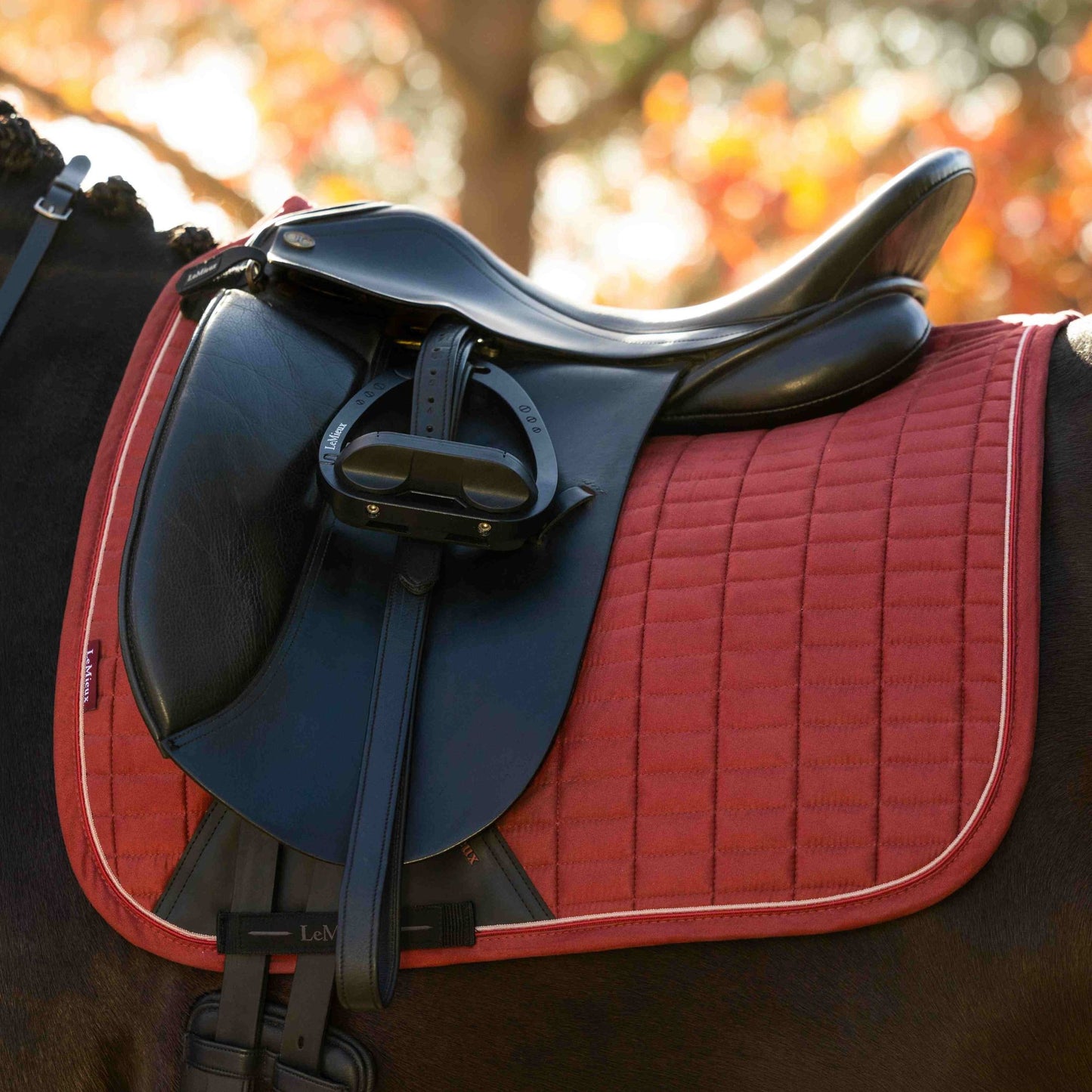 LeMieux Suede Dressage Square Saddle Pad