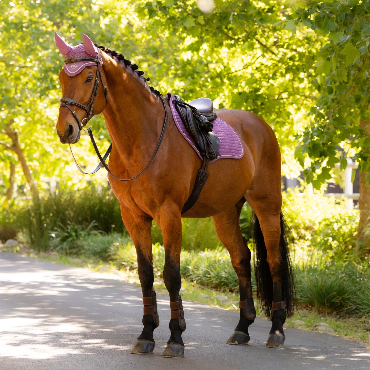 LeMieux Suede Square Close Contact Saddle Pad