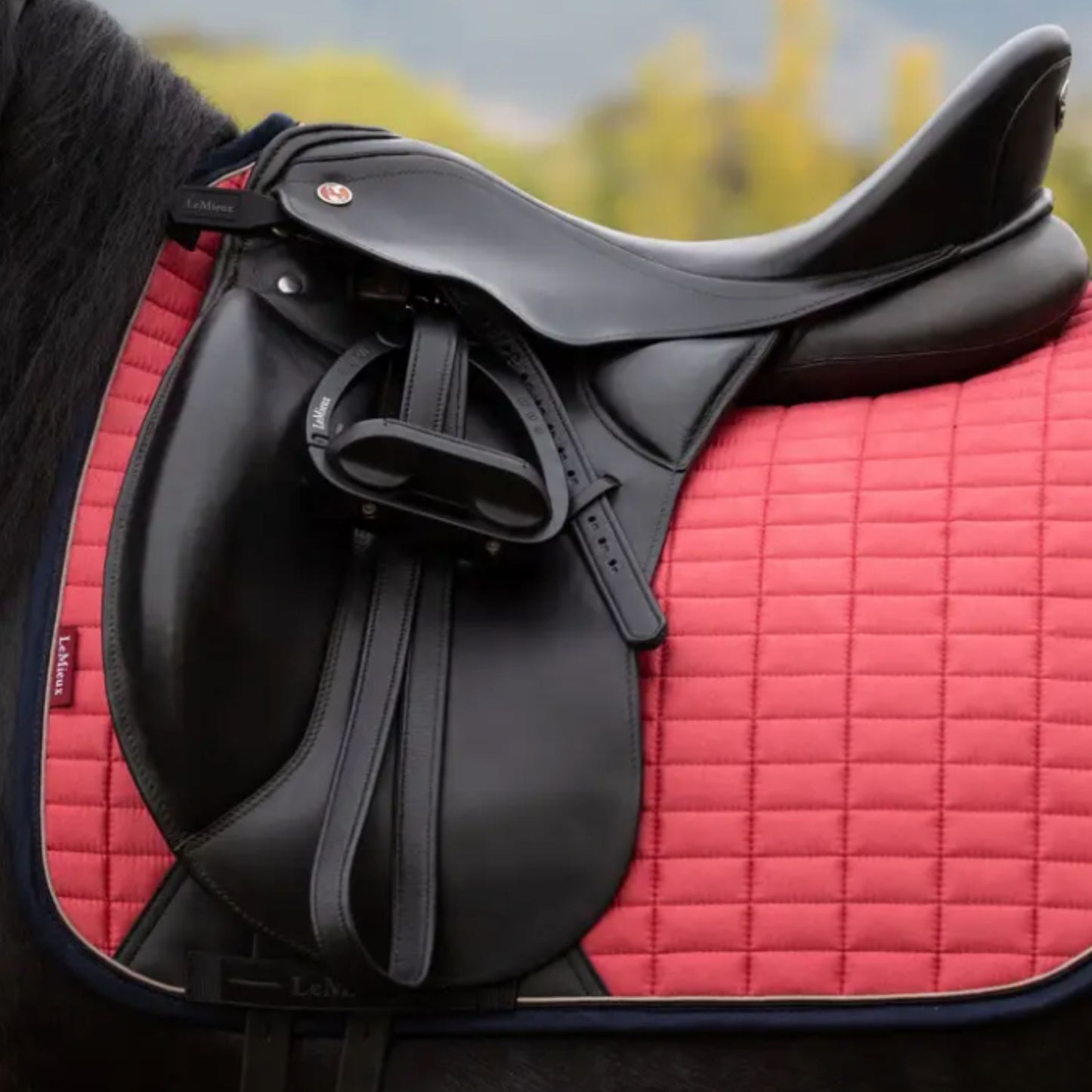 LeMieux Suede Square Dressage Saddle Pad