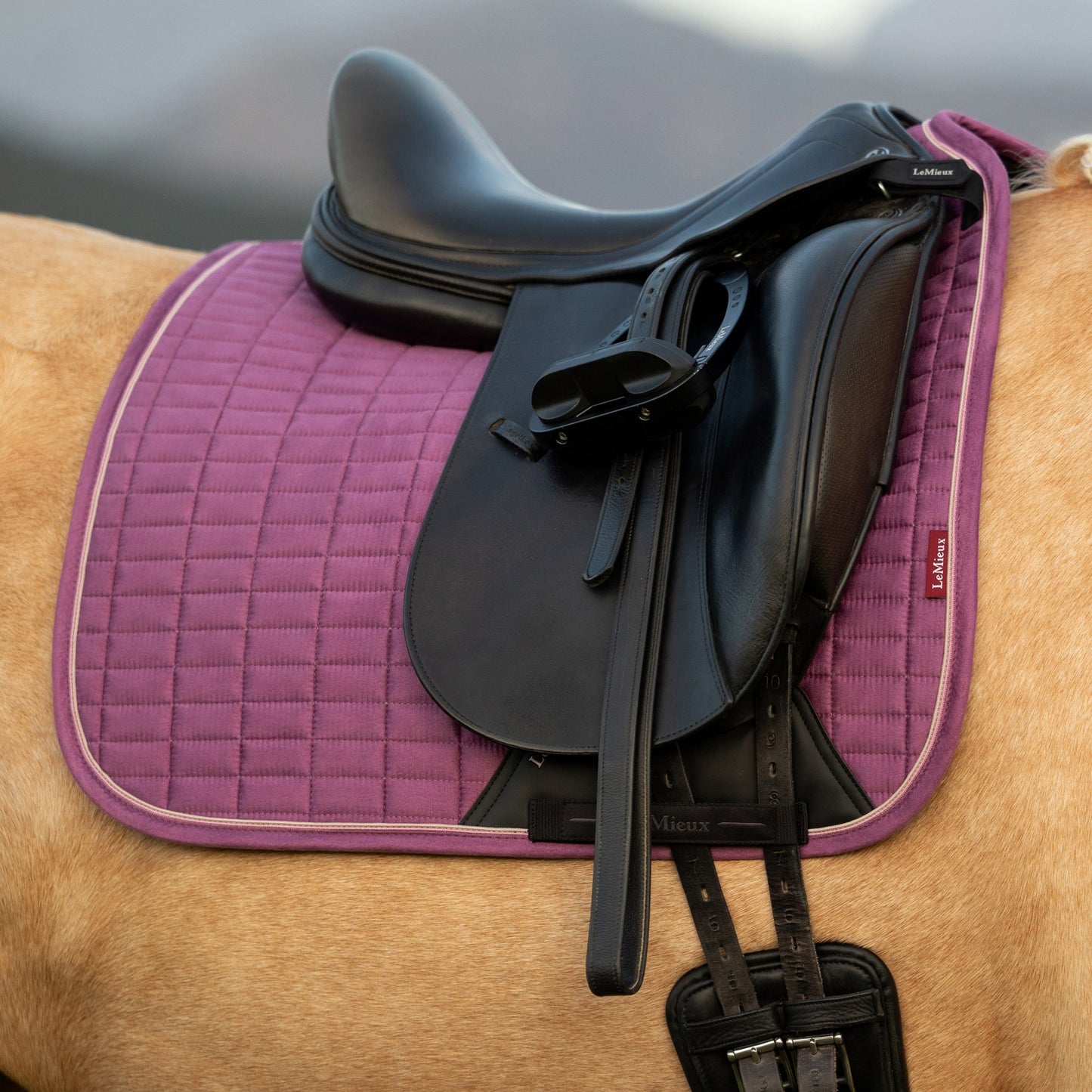 LeMieux Suede Square Dressage Saddle Pad