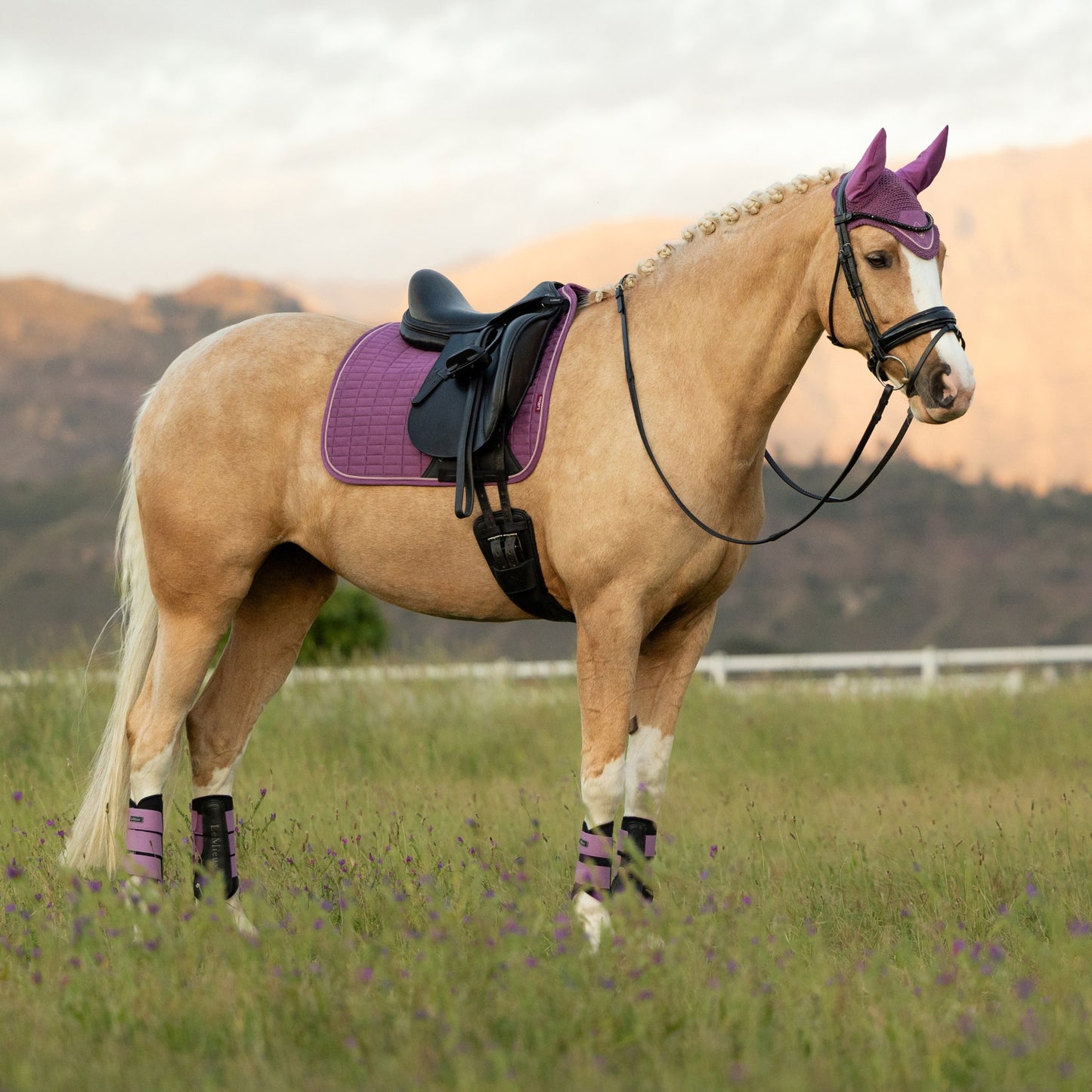 LeMieux Suede Square Dressage Saddle Pad