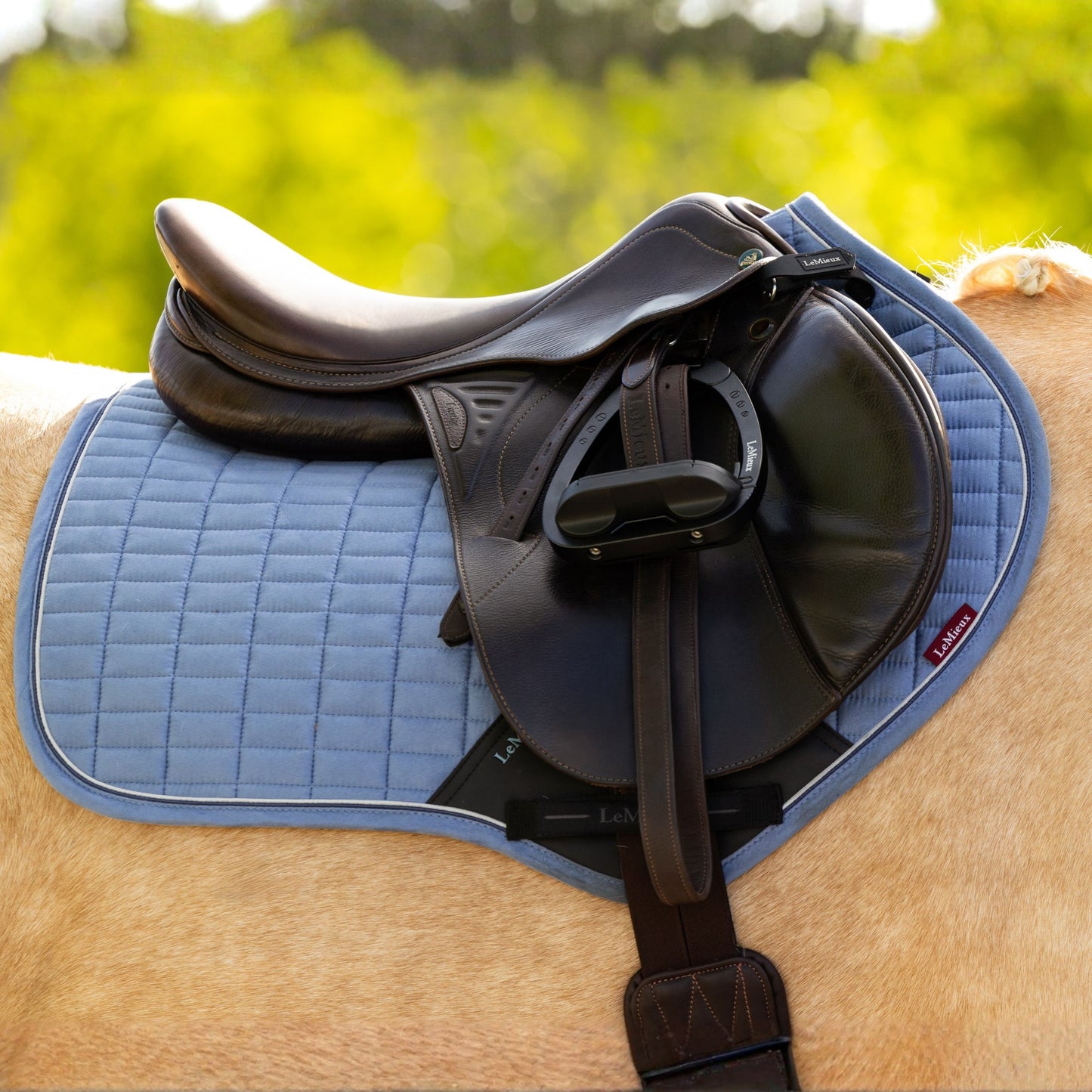 LeMieux Suede Square Close Contact Saddle Pad