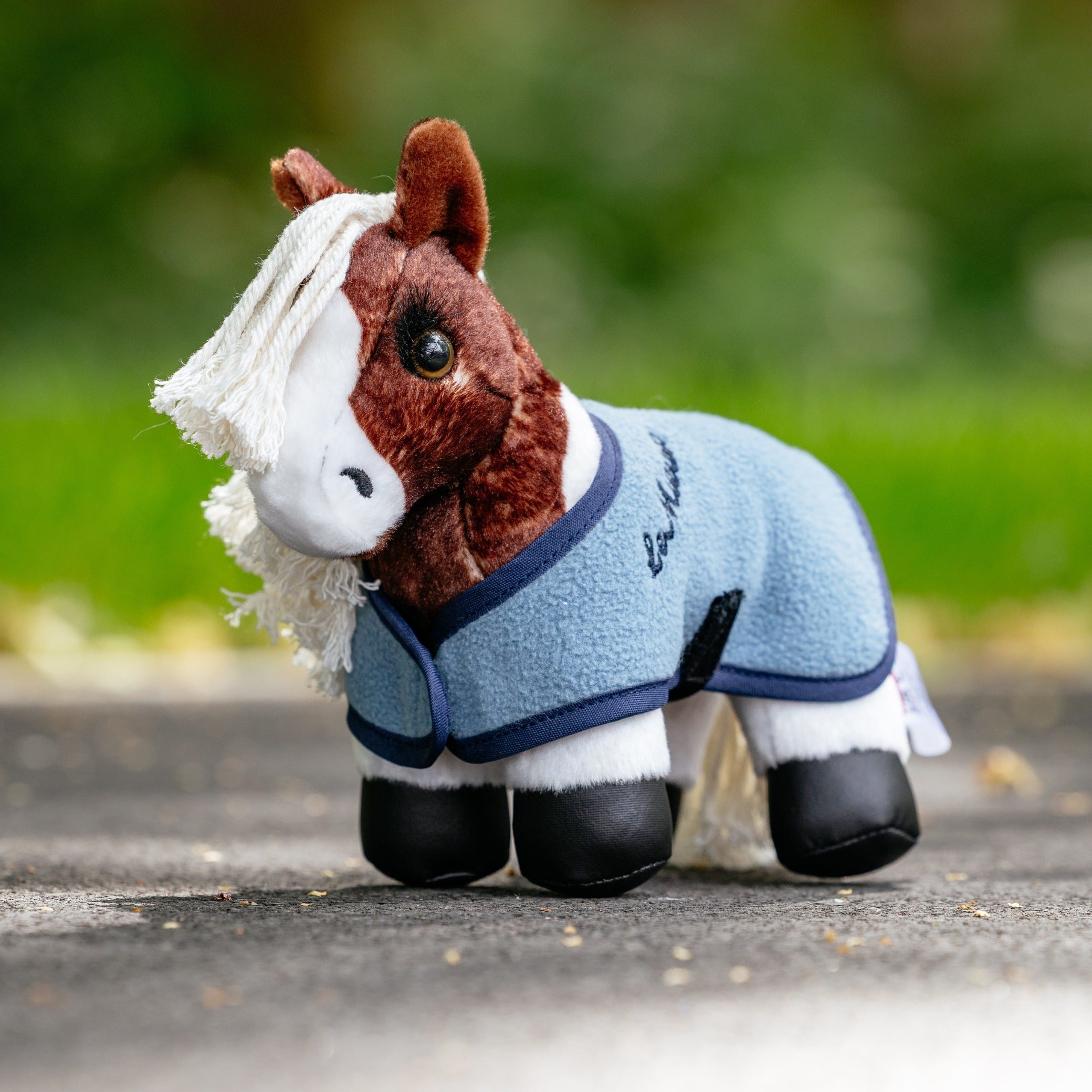 LeMieux Tiny Pony Flash – EQ Saddlery