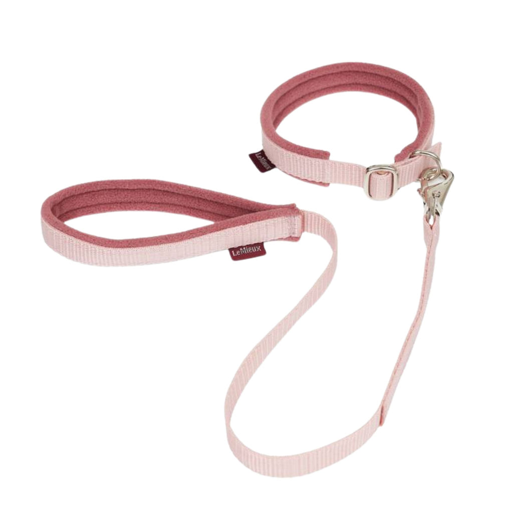 LeMieux Toy Dog Collar and Lead Chilli