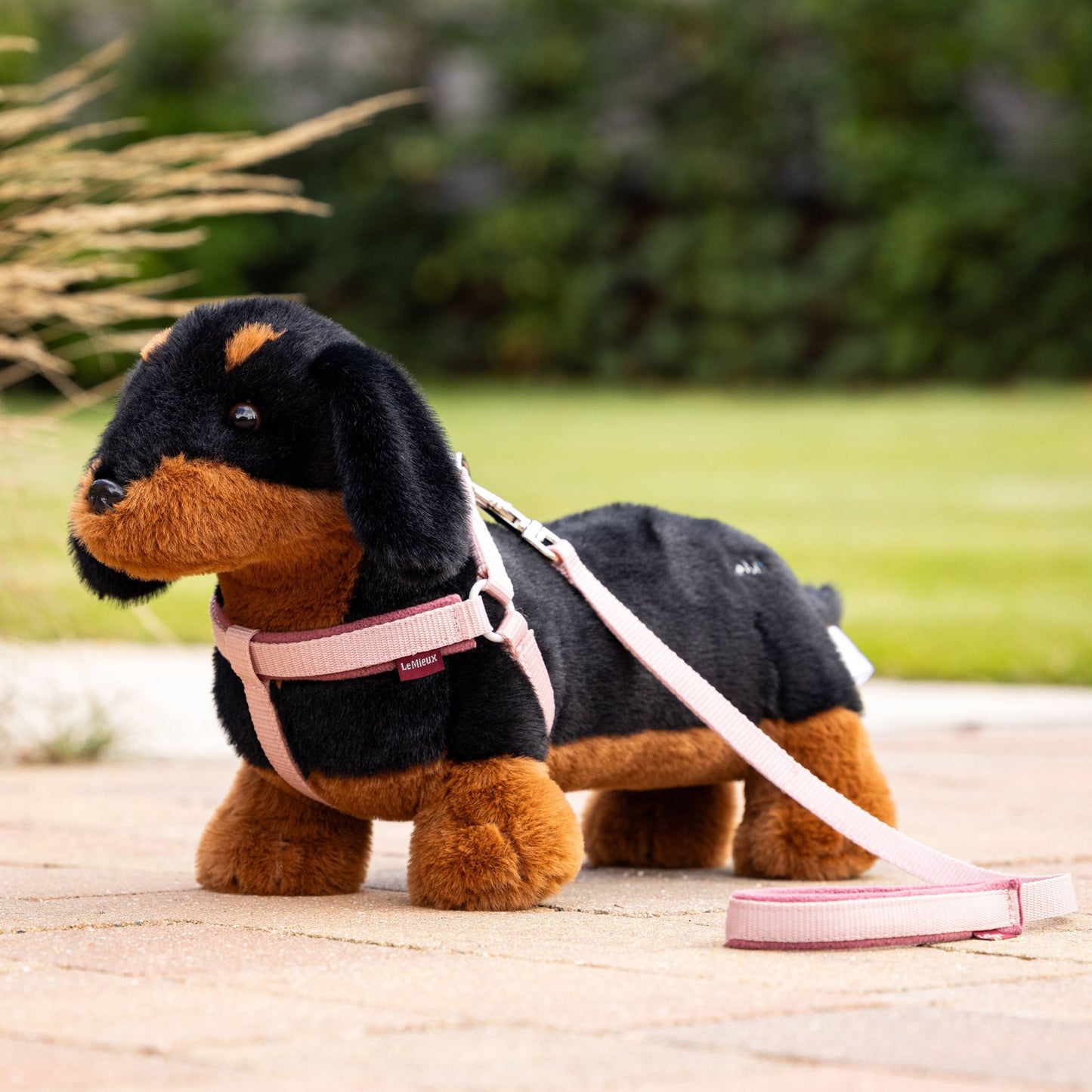 LeMieux Toy Dog Dachshund - EQ Saddlery