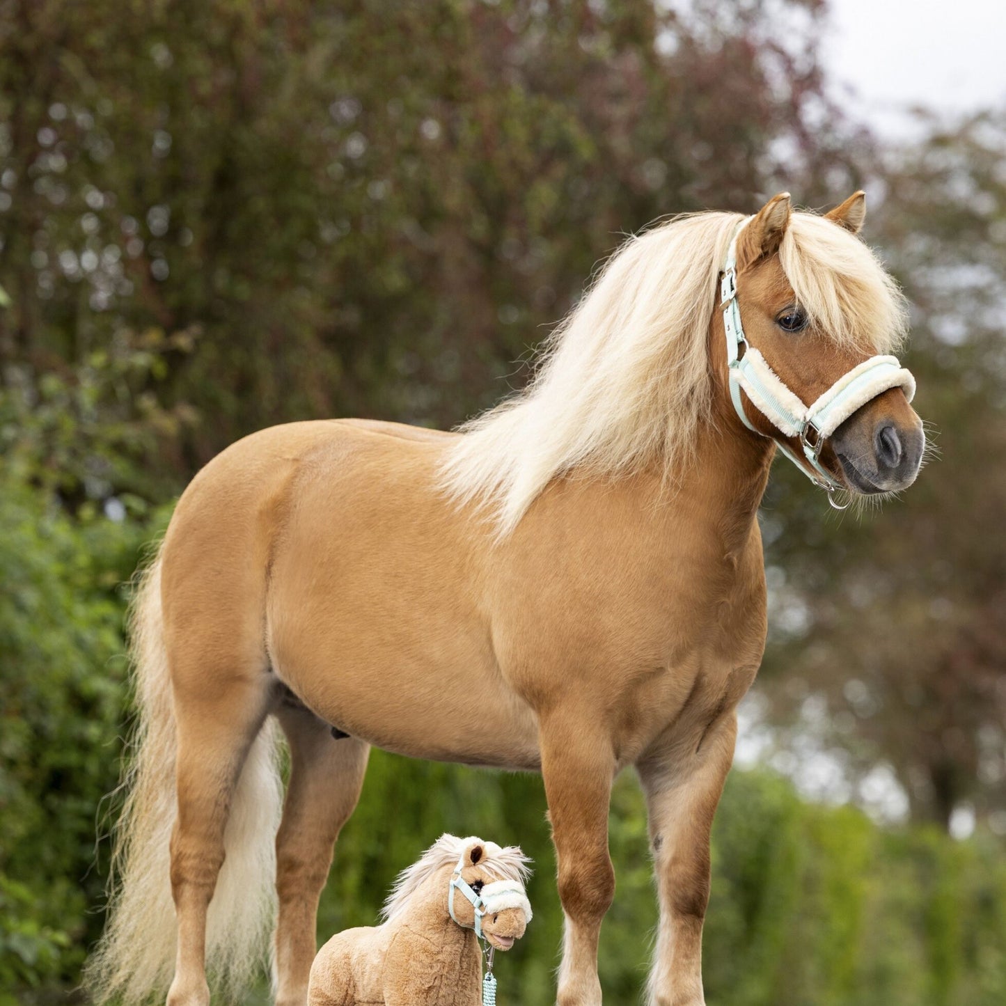 LeMieux Toy Pony Cloudy