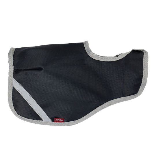 LeMieux Toy Pony Exercise Sheet - EQ Saddlery