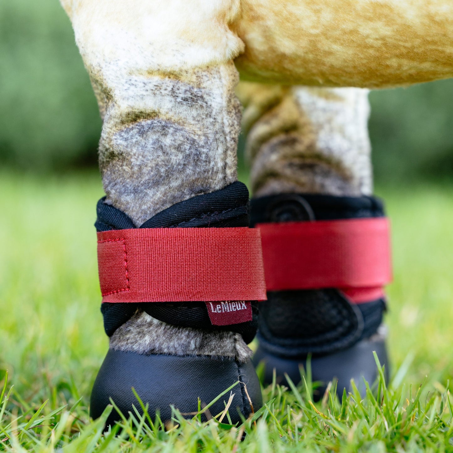 LeMieux Toy Pony Grafter Boots