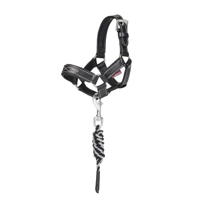 LeMieux Toy Pony Leather Headcollar and Leadrope
