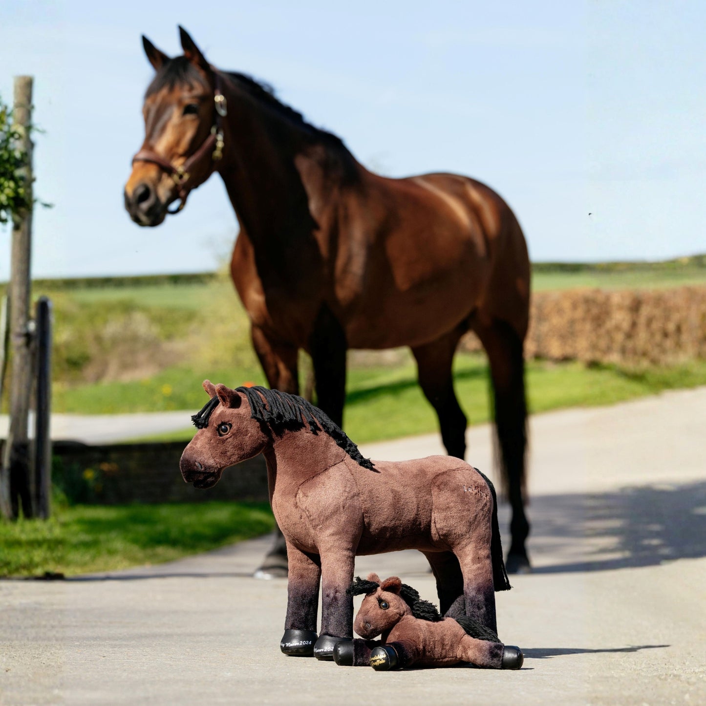 Lemieux Toy Pony Lordships Graffalo