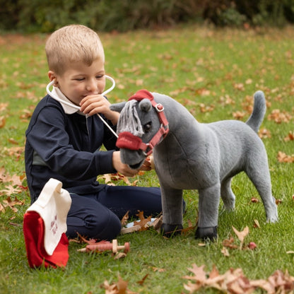 LeMieux Toy Pony Vet Set
