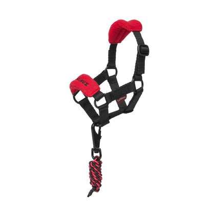 LeMieux Toy Pony Vogue Headcollar and Leadrope