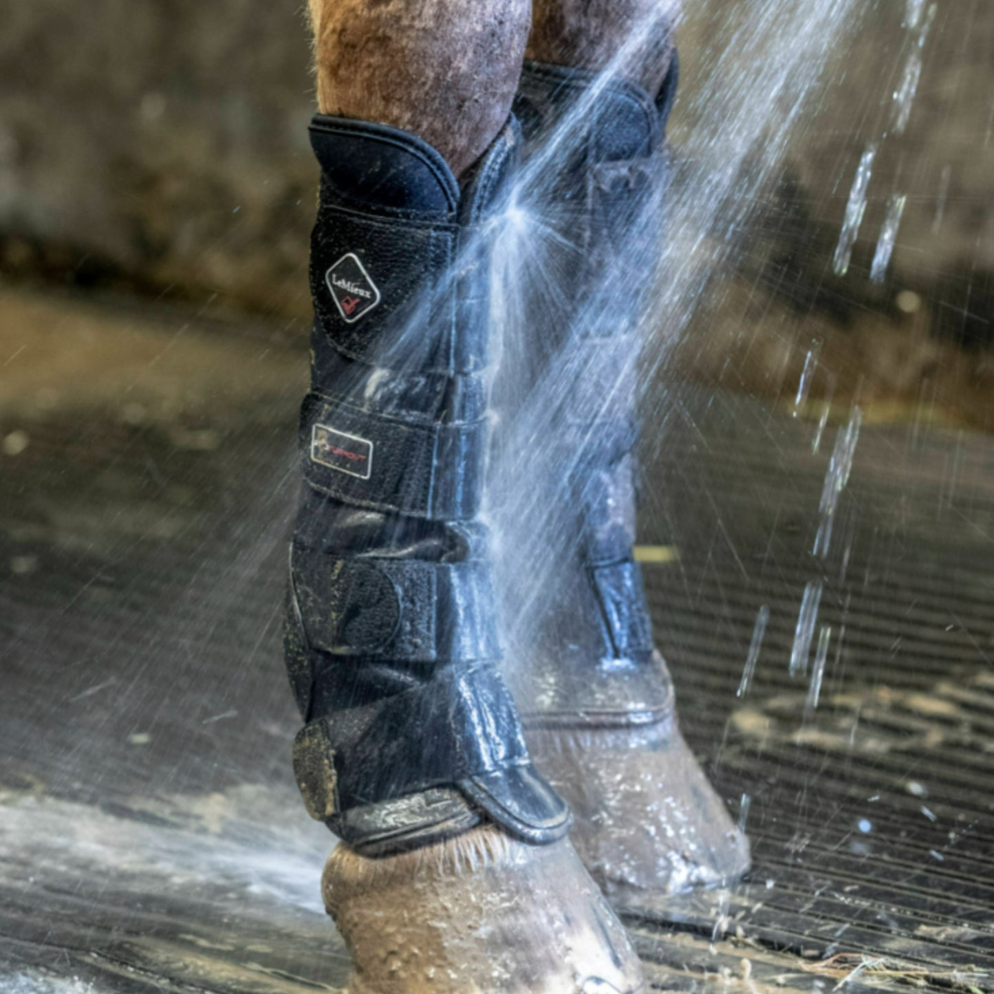 LeMieux Turnout Boots - EQ Saddlery