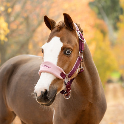 LeMieux Vogue Headcollar and Leadrope