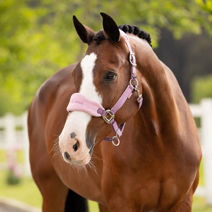 LeMieux Vogue Headcollar and Leadrope