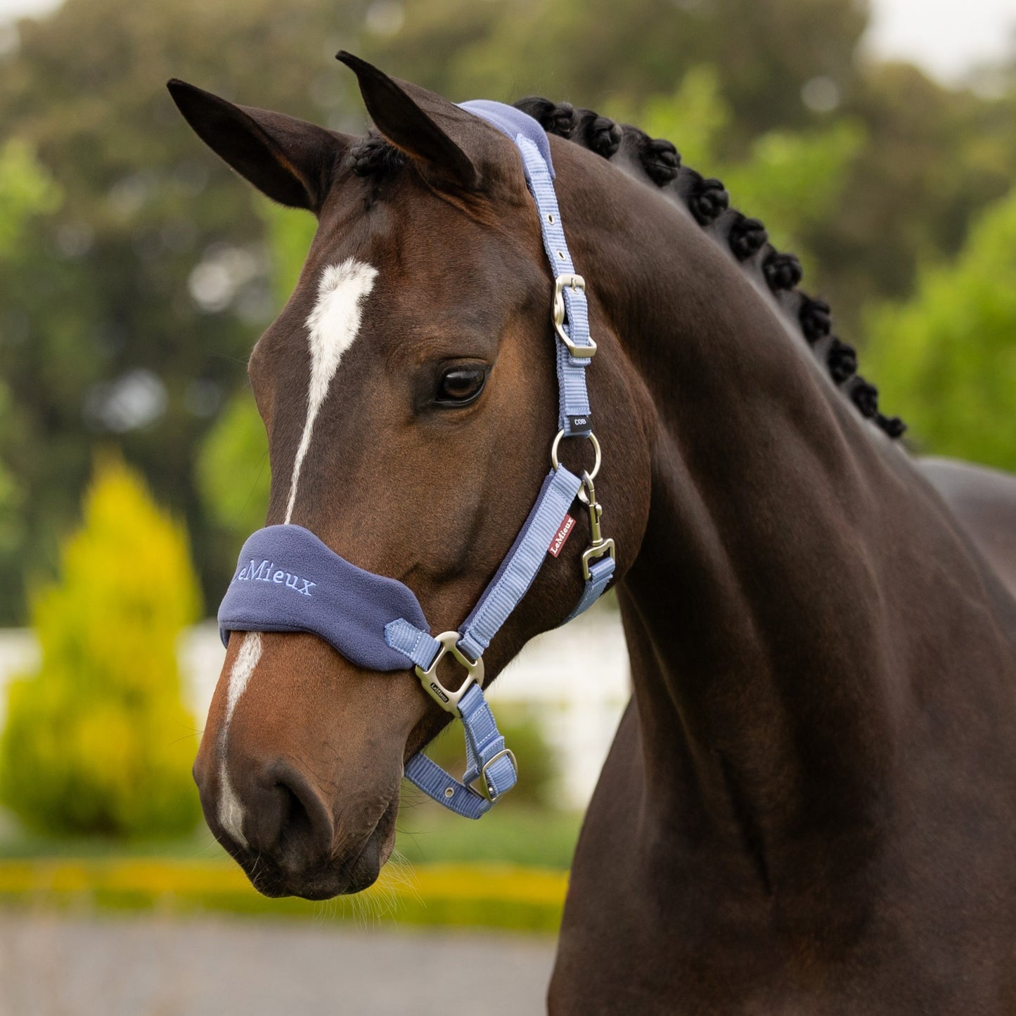 LeMieux Vogue Headcollar and Leadrope