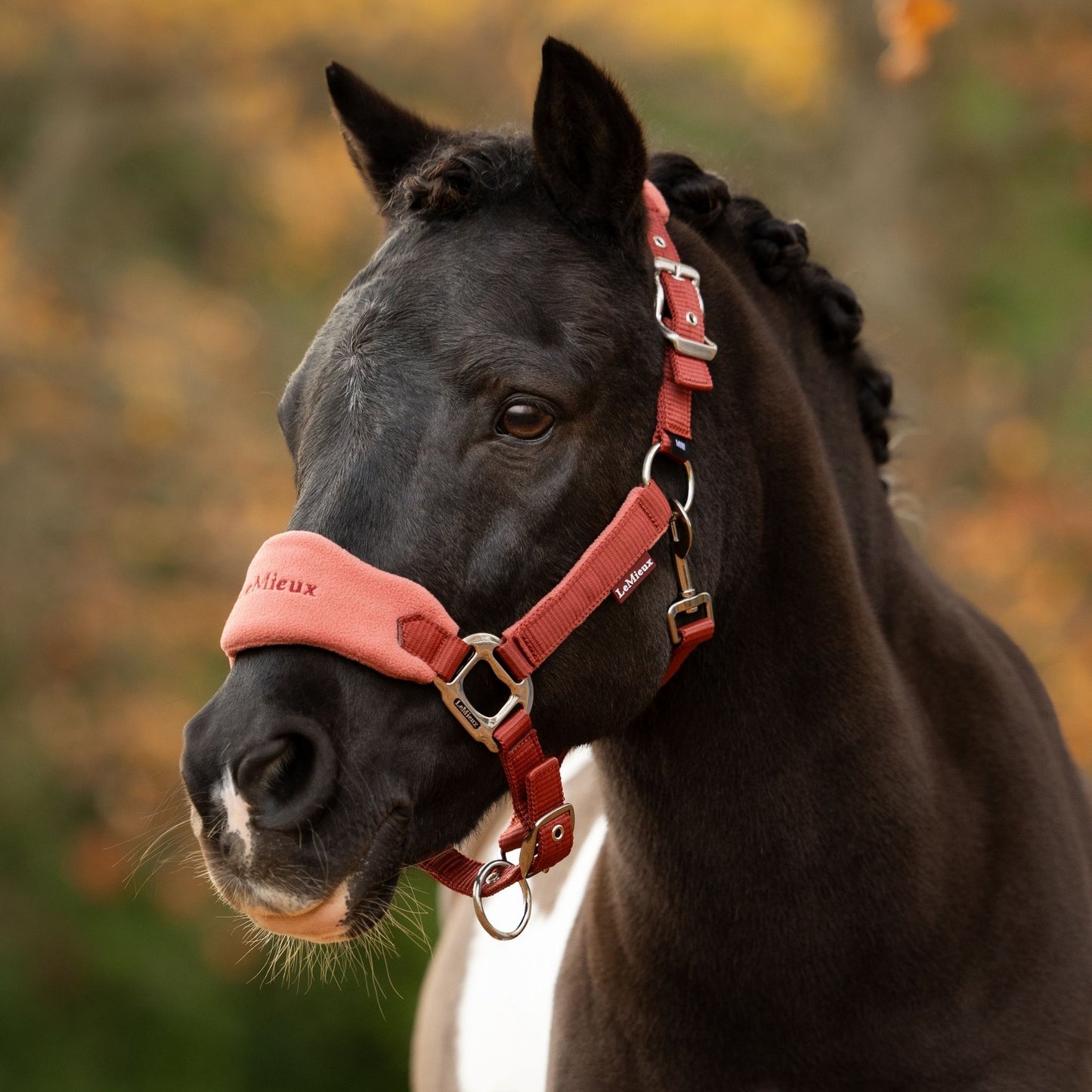 LeMieux Vogue Headcollar and Leadrope